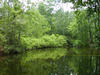Lake 4