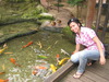 nice fishes