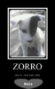 my Pop Zorro
