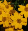 one of my photos