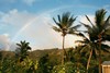 Hawaii Rainbow