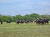 Calvary charge at Kelly's Ford