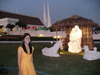 Christmas Lighting