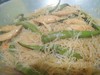 pancit with kikiam and okra..what a blast!nextime i will add the shanghai and buko pandan also the anchovies kinilaw na dilis