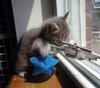 he's a killer!