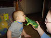 My nefew kissing a toy frog