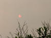 The beautiful sun in AZ smogged by polution...