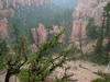Our first look at a part of Bryce Canyon