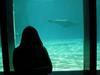 aquarium of dolphins...cool