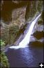 the  natural swimmingpool