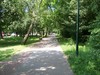 Road in Park