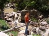 The River