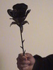 Rose I made out of steel