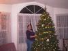 me decorating the christmas tree