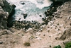 Feathers and Rocks