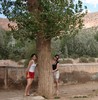 Detrás del árbol..jaja