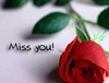 Miss All my love ones on line