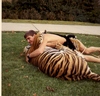 wrestling a 650 lb Siberien Tiger