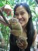 The pride of Bohol (tarsier... the smallest kind of monkey)
