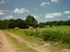 the country 2