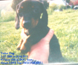 LDS Singles Bert